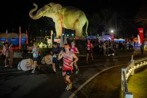 BIB: 
                            <button type="button" onclick="openModal(26552356)" class="btn btn-primary btn-sm float-right btn-popup" data-toggle="modal" data-target=".modal-high-quality">
                        <i class="fas fa-shopping-cart"></i> Add to Cart
                    </button>
                                            <button type="button" onclick="isThisMe(26552356, true)" class="btn btn-success btn-sm float-right btn-popup btn-isme hidden" data-toggle="tooltip" data-placement="bottom" title="นี่คือรูปของคุณใช่ไหม คลิกที่นี่เพื่อเอาเข้าอัลบั้ม">
                        <i class="fas fa-plus"></i> Add to album
                    </button>
                    <button type="button" onclick="isThisMe(26552356, false)" class="btn btn-warning btn-sm float-right btn-popup btn-isnotme hidden">
                        <i class="fas fa-ban"></i> Remove from album
                    </button>